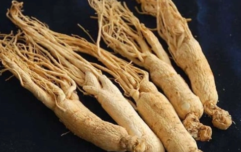 西洋参不良反应