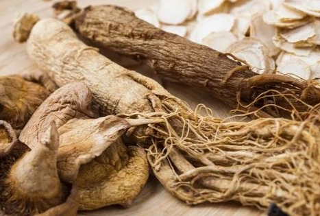 西洋参副作用 西洋参副作用