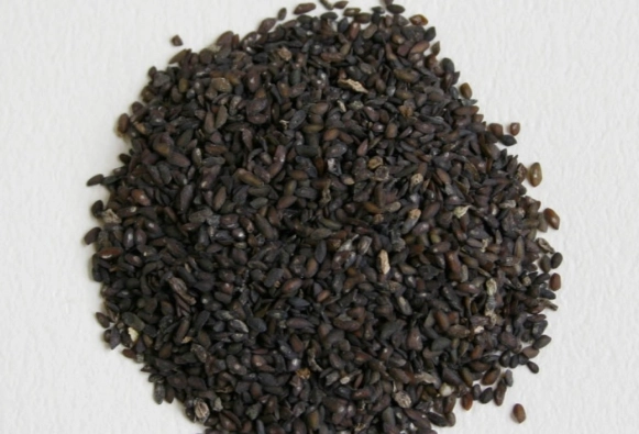 車前子安全使用