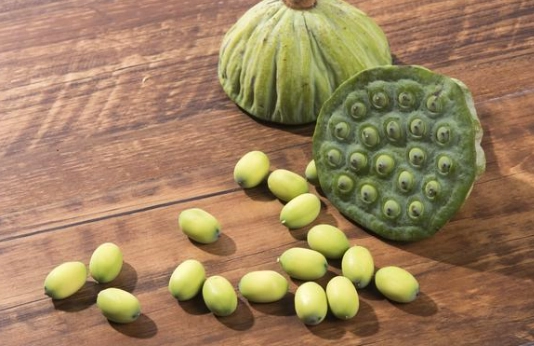 蓮子心副作用 蓮子心副作用