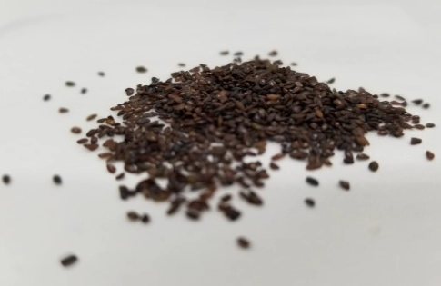 車前子不良反應