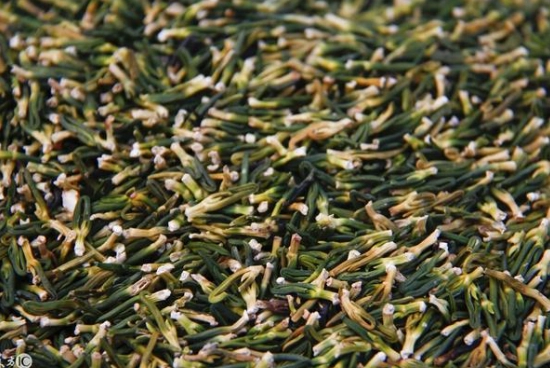 蓮子心食用禁忌 蓮子心食用禁忌