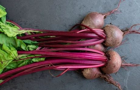 甜菜根營養