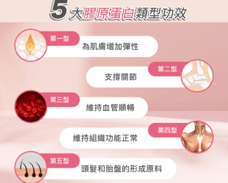 皮膚膠原蛋白流失