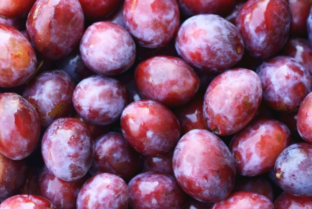 李子太酸處理方法