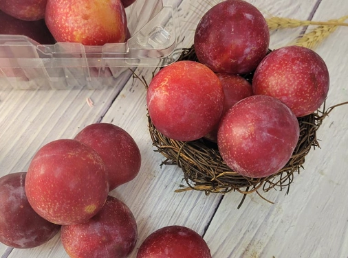 櫻桃李健康益處