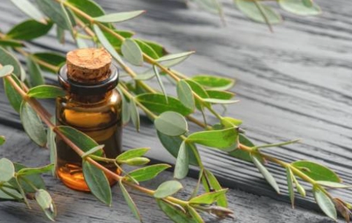 精油使用注意事項