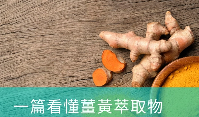 薑黃素吸收 薑黃素吸收