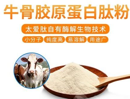 牛膠原蛋白過敏