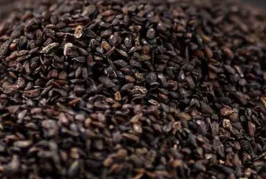 車前子安全使用