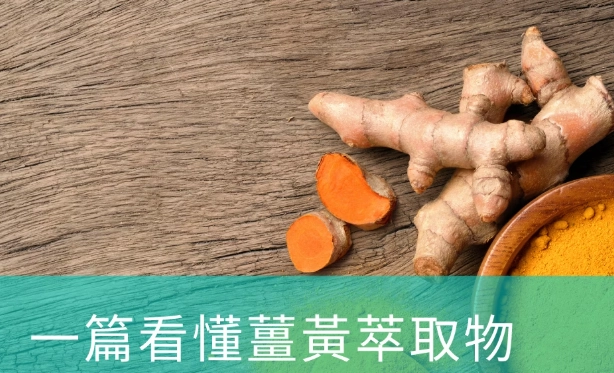 薑黃奶好處