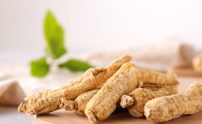 西洋参长期食用 西洋参长期食用