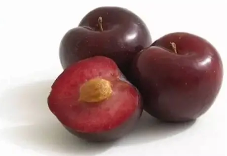 李子過量副作用