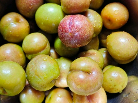 李子太酸處理方法