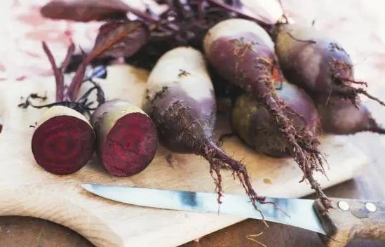 甜菜根食用風險