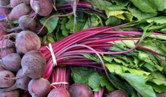 甜菜根食用風險