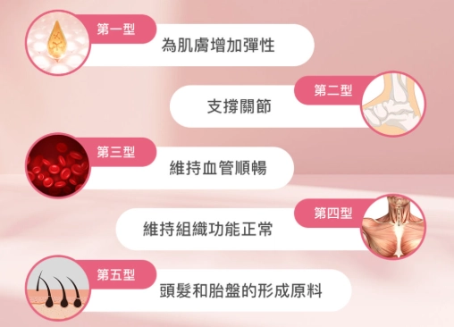 膠原蛋白補充方法 膠原蛋白補充方法