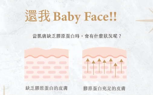 膠原蛋白補充方法