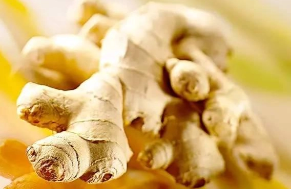 薑食物相剋 薑食物相剋