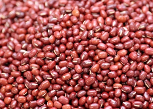 紅豆營養價值