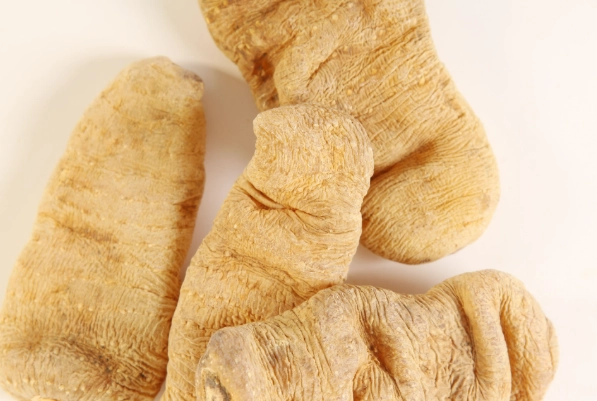 天麻素副作用 天麻素副作用