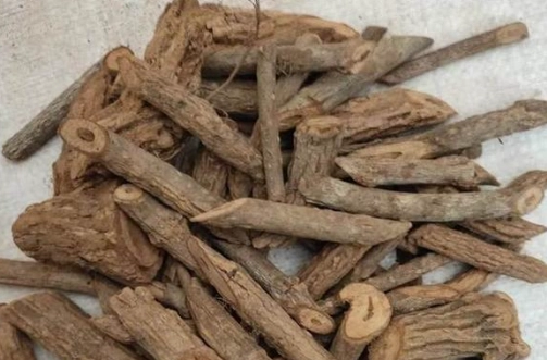 五指毛桃相克食物 五指毛桃相克食物