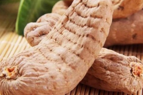 天麻功效 天麻功效