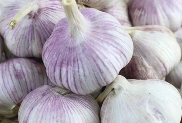 大蒜精什麼時候吃