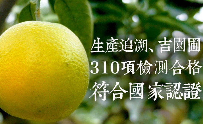 柳丁產期 柳丁產期