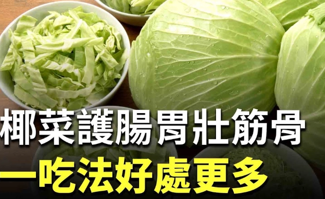 椰菜營養價值 椰菜營養價值