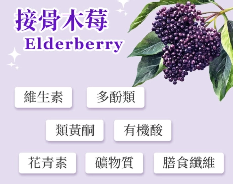 接骨木莓過敏反應 接骨木莓過敏反應