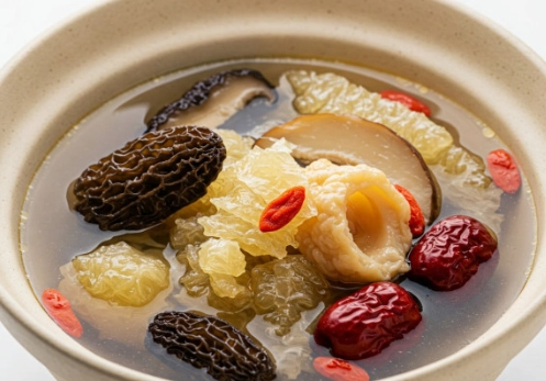 鵪鶉羊肚菌湯 食譜 鵪鶉羊肚菌湯 食譜