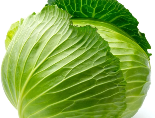 椰菜營養價值 椰菜營養價值