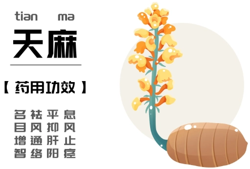 天麻丸使用方法 天麻丸使用方法