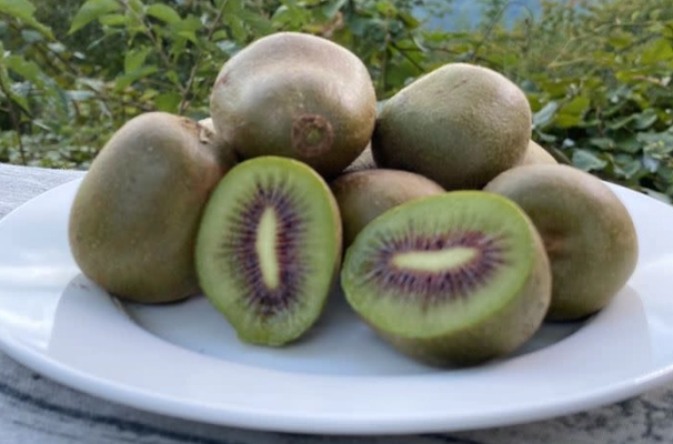 奇異果營養價值