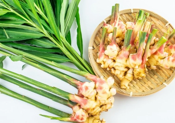 薑食用禁忌 薑食用禁忌