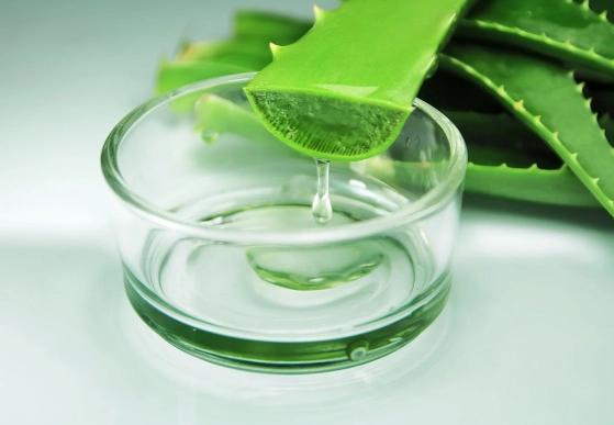 芦荟凝胶消炎