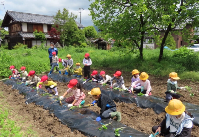 食農素養 食農素養