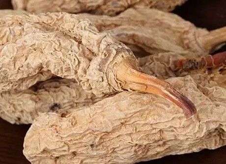 野生天麻使用方法 野生天麻使用方法