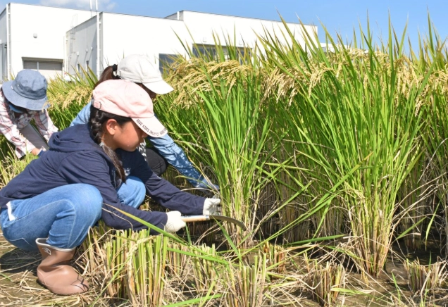 食農素養 食農素養