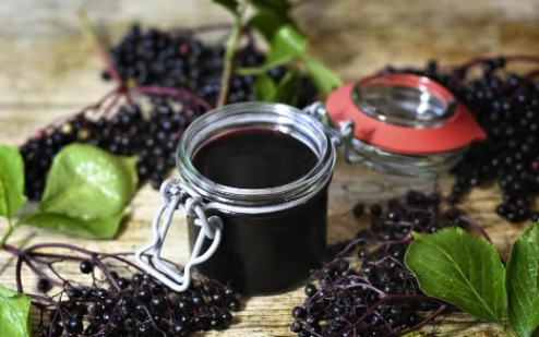 接骨木莓安全使用 接骨木莓安全使用