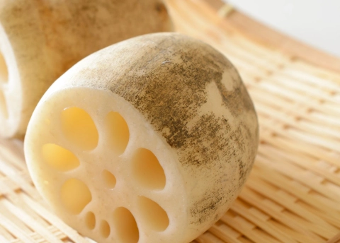 蓮藕屬性 蓮藕屬性