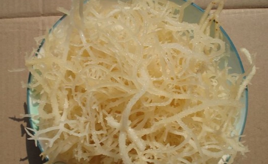 石花菜食用方法 石花菜食用方法