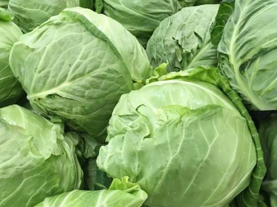 高麗菜怎麼選