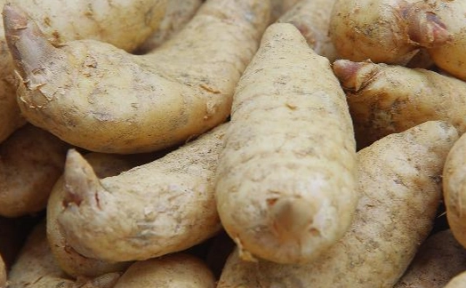 天麻功效 天麻功效