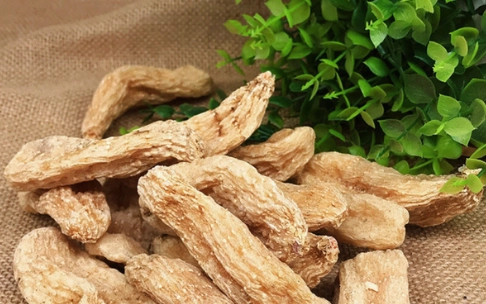 天麻功效與用法