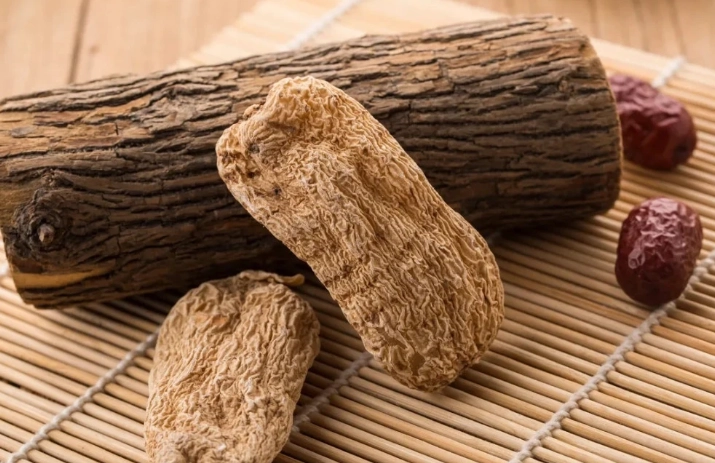 天麻中藥應用 天麻中藥應用