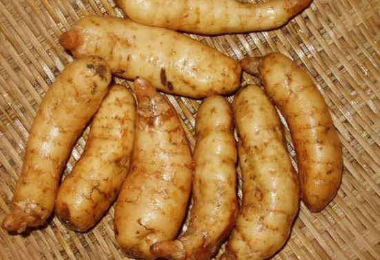 新鮮天麻安全使用