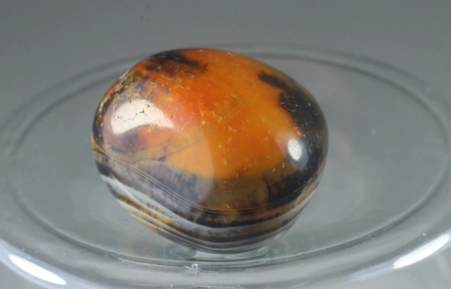 大黃蜂石能量 大黃蜂石能量