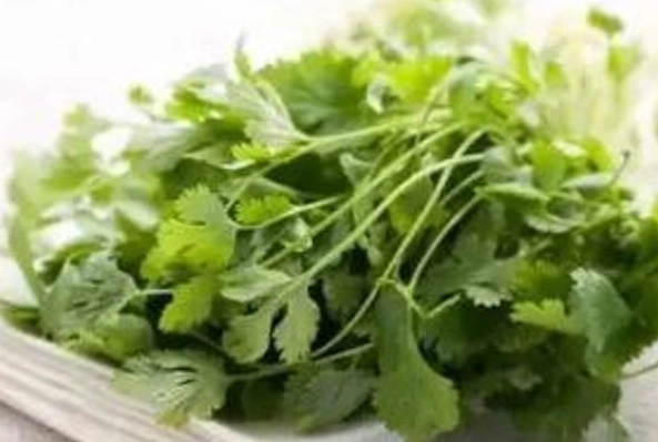 香菜健康風險